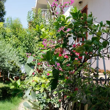 Walhalla Aparthotel Alba Adriatica