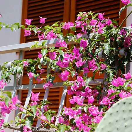 Walhalla Aparthotel *