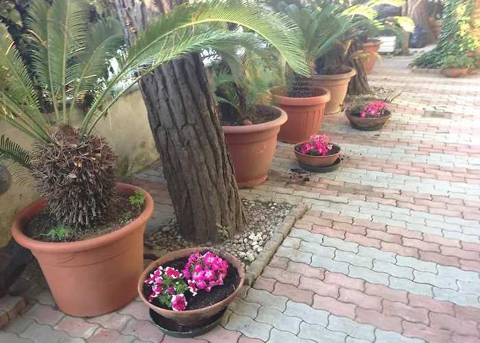 Aparthotel Walhalla 3*