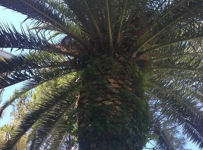 Walhalla 3* Alba Adriatica