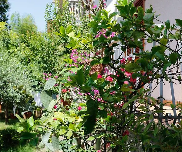 Walhalla Aparthotel Alba Adriatica