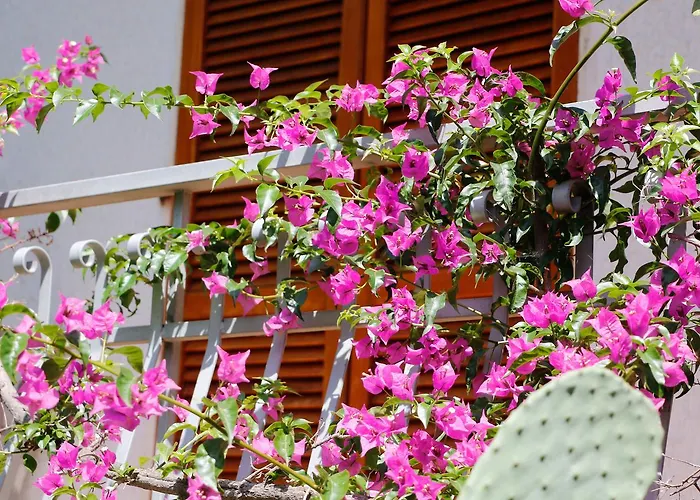 Walhalla Aparthotel 3*